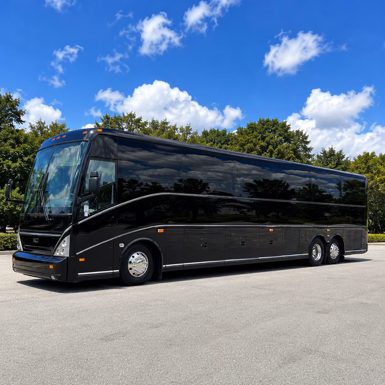 charter buses to calaveras big trees the bay area and beyond